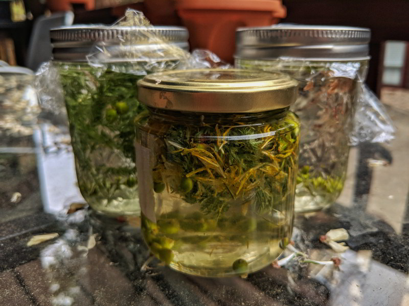 home gin making juniper Hook Rifle & Spade