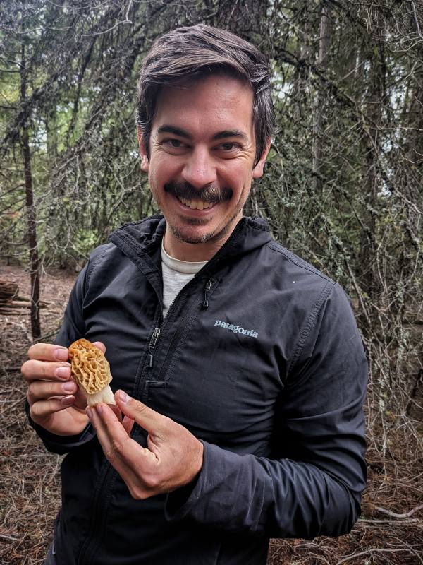 morel hunting Hook Rifle & Spade